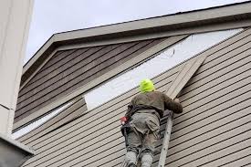 Best Siding Painting and Refinishing  in Middlesex, NC